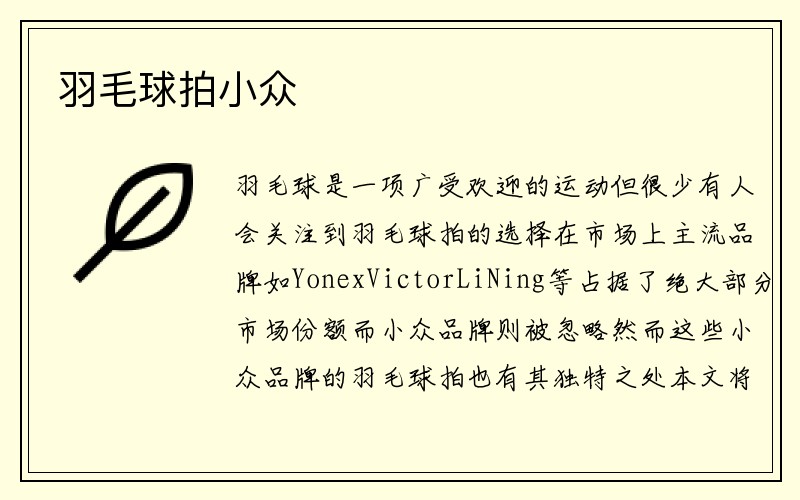 羽毛球拍小众