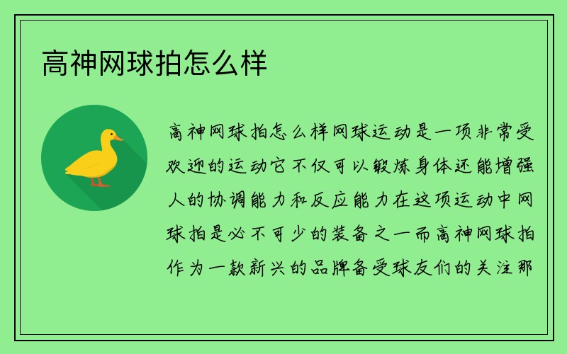 高神网球拍怎么样