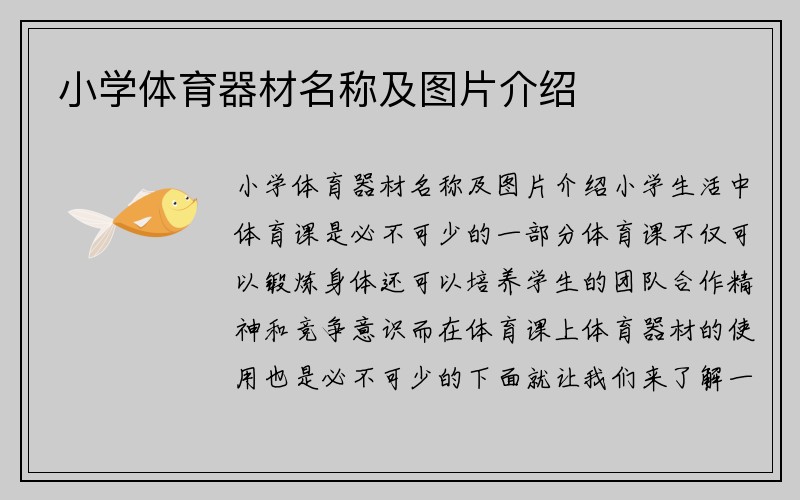 小学体育器材名称及图片介绍