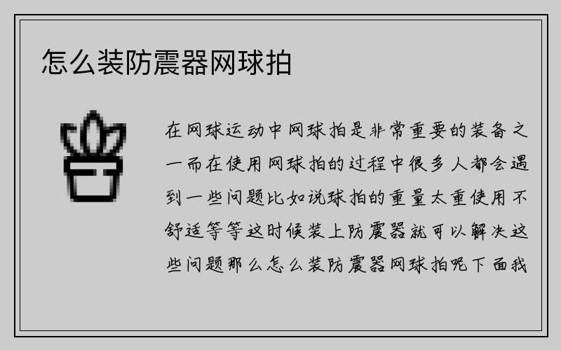 怎么装防震器网球拍