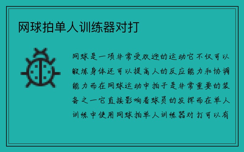 网球拍单人训练器对打